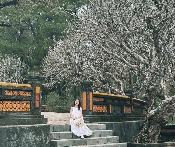 Làm sao để du lịch Huế tiết kiệm mà vẫn trọn vẹn trải nghiệm?