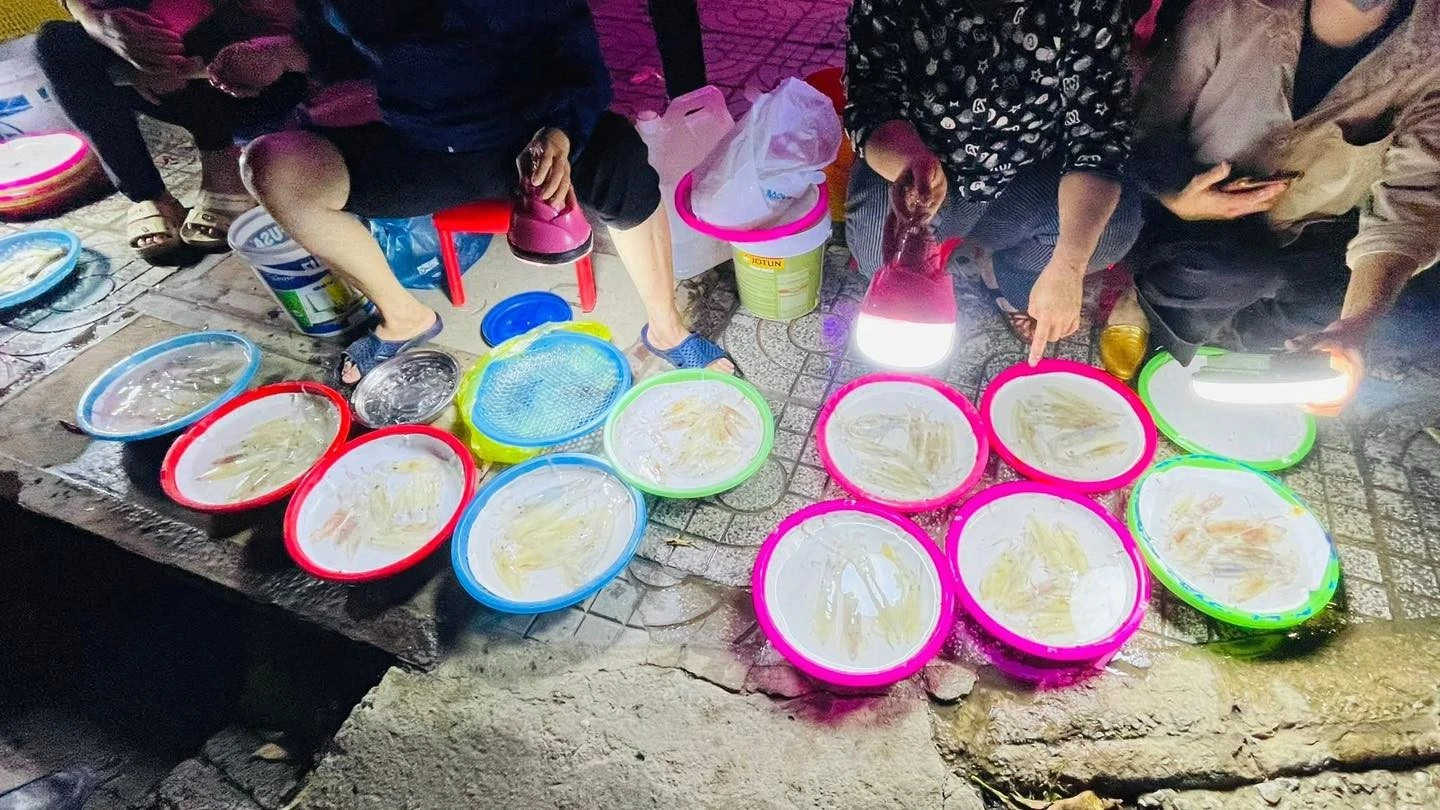 Độc đáo chợ mực nháy không cân đo, mỗi mớ tới 400.000 đồng vẫn đắt hàng