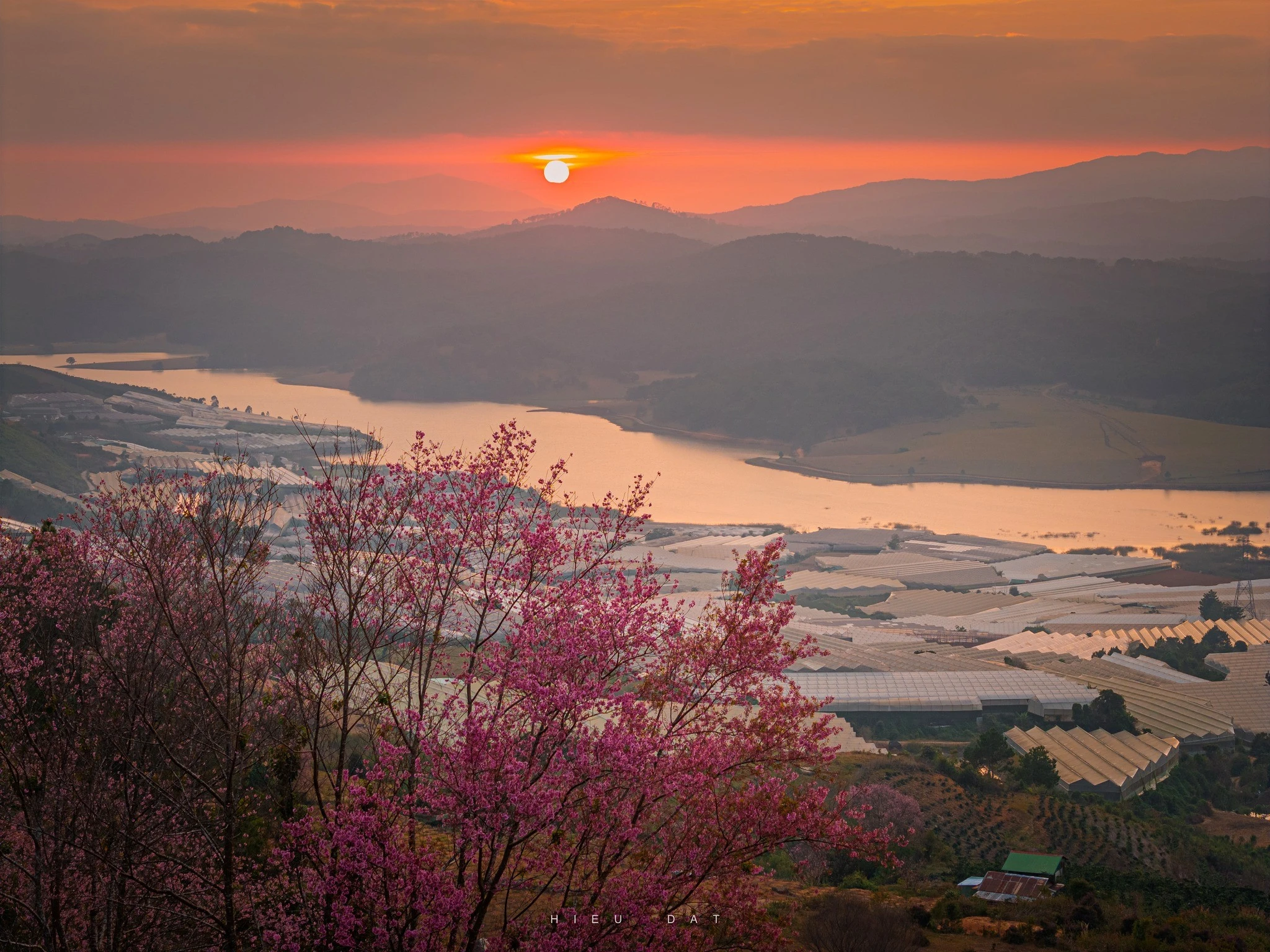 Đến Mộng Đào Nguyên ngắm mai anh đào khoe sắc, chọn đi tour hay tự túc?