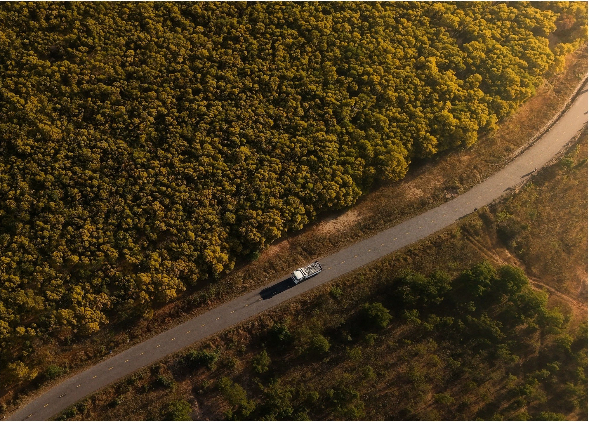 Mùa hoa keo lá tràm nhuộm vàng Phan Thiết, hút du khách check-in