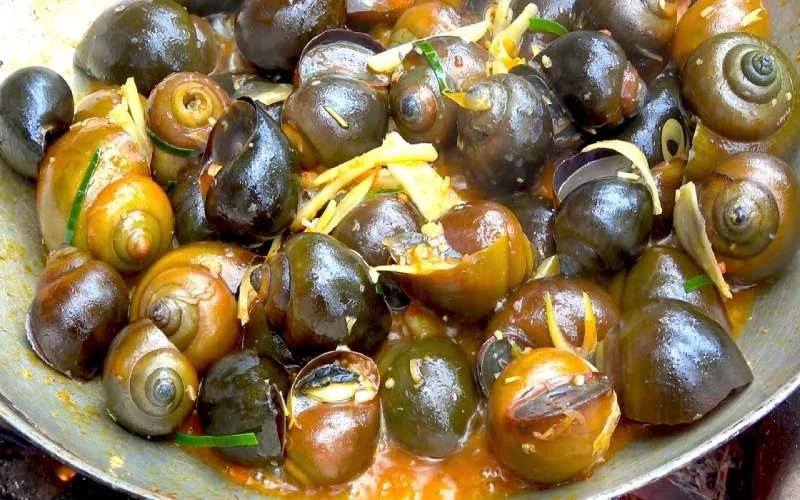 Loại ốc giàu dinh dưỡng, ít chất béo, tốt cho tim mạch, xương khớp