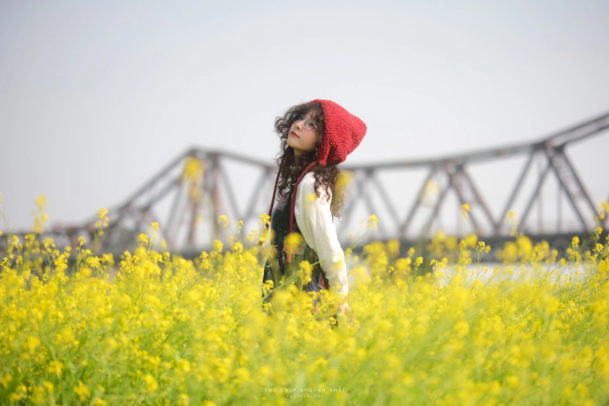 Hoa cải nở rộ ở bến Phúc Xá, hút nàng thơ tới check-in