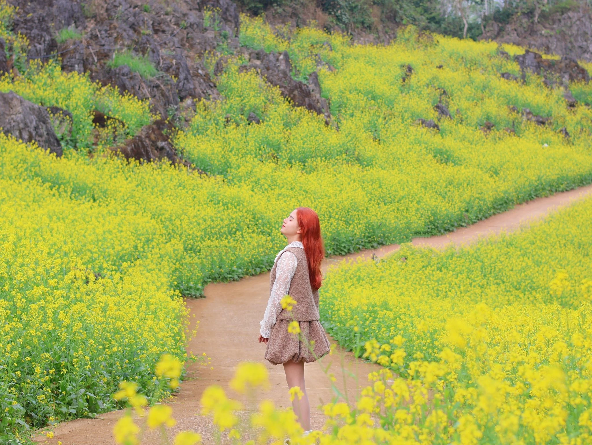 Suối Giàng khoác áo vàng, gọi mời lữ khách tới check-in