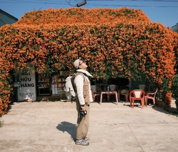 Mái nhà cam rực hoa chùm ớt hút khách check-in giữa cao nguyên Di Linh