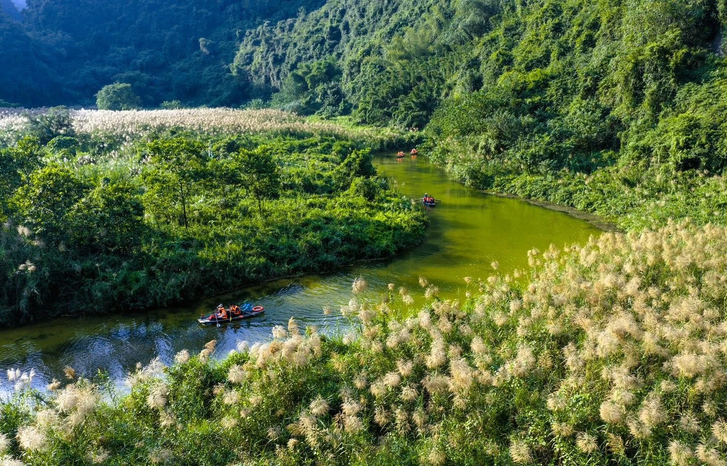 Mùa lau trắng Tràng An khung cảnh thơ mộng khiến du khách say lòng