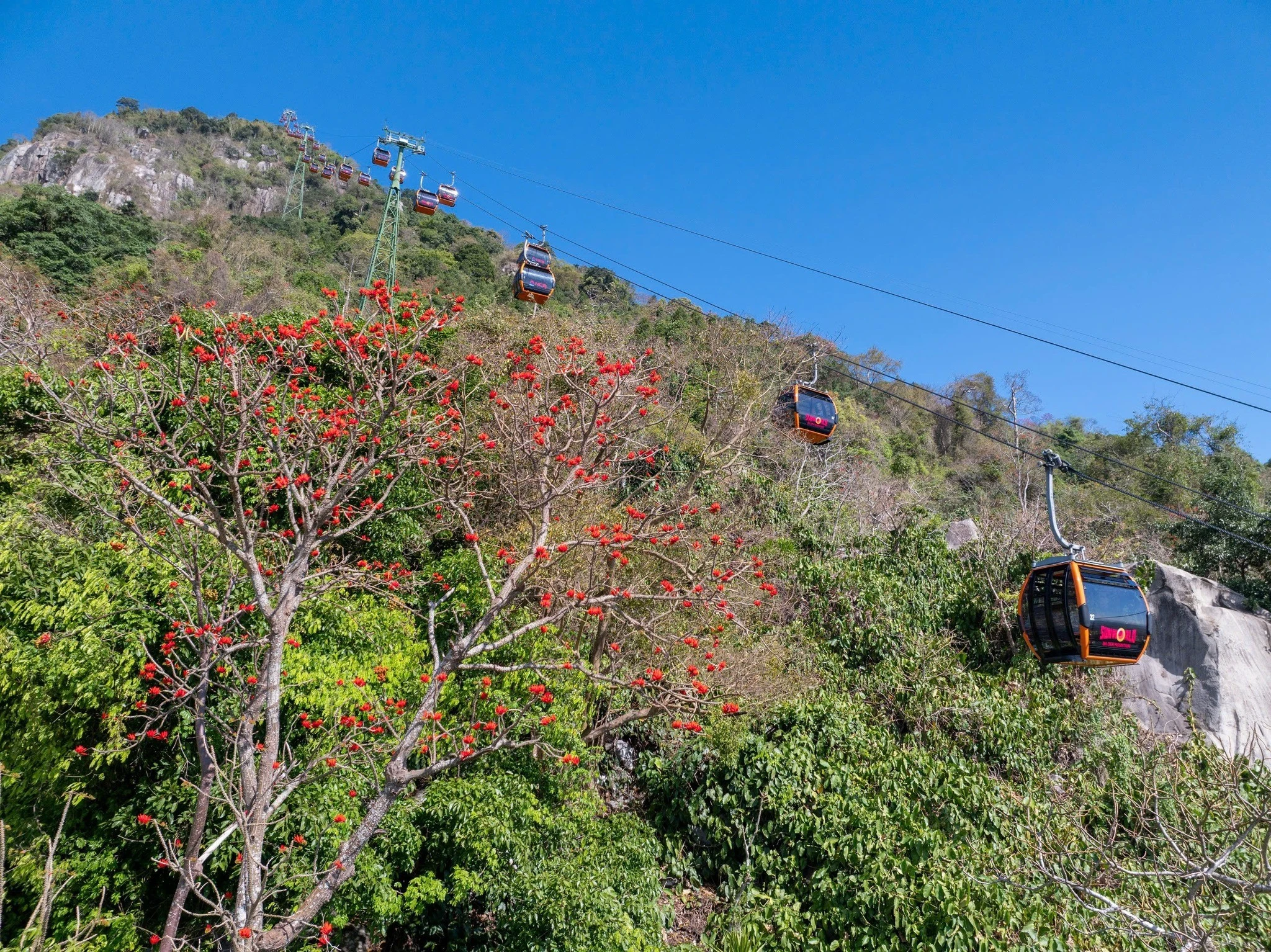 Núi Bà Đen vào mùa hoa vông nem, tour tham quan chỉ từ 700.000 đồng