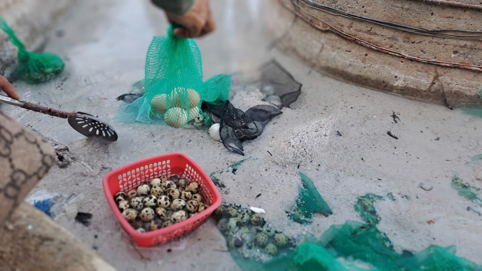 Trải nghiệm luộc trứng giữa thiên nhiên tại suối nước nóng Hội Vân