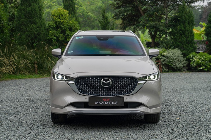 Sự thay đổi duy nhất trong bảng xếp hạng này chính là màn đổi vị trí giữa Mazda CX-8 và Hyundai SantaFe. Mẫu xe của Mazda đã đánh bại Hyundai SantaFe để giành lại vị trí thứ 3 với 207 xe giao đến tay khách hàng, tăng nhẹ so với doanh số tháng 5 (202 xe).