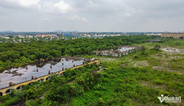 Khuôn viên rộng lớn bị cỏ dại xâm lấn.