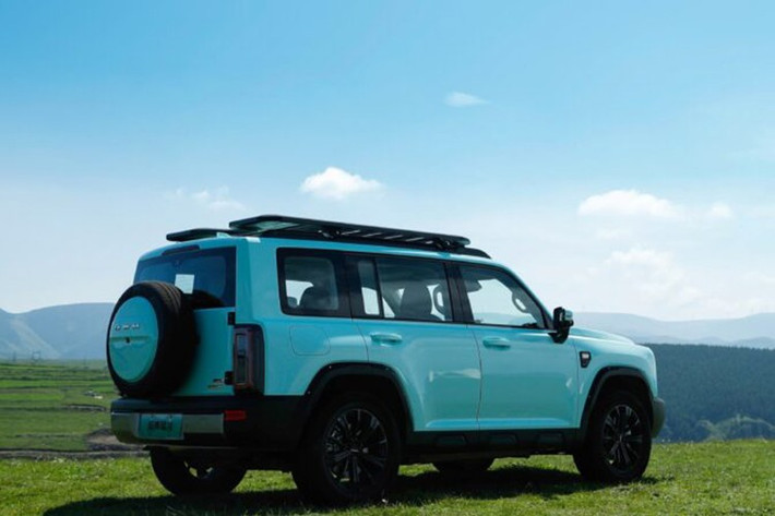 Haval Raptor mới được trang bị động cơ xăng tăng áp 1,5 lít (GW4B15M) kết hợp với hệ thống động cơ kép P2+P4. So với động cơ GW4B15E 1.5T trước đây, công suất tối đa giảm từ 123kW xuống còn 115kW, trong khi động cơ phía sau đạt 150kW. Tổng công suất hệ thống đạt 330kW hay 442 mã lực với mô-men xoắn 750Nm, giúp xe tăng tốc từ 0–100km/h trong 5,9 giây.