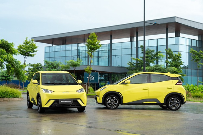 Riêng trong tháng 5/2025, BYD ghi nhận 60.131 xe Seagull bán ra toàn cầu, trong đó 29.026 xe xuất khẩu. Trong tháng 6/2025, Seagull cũng bắt đầu được bán tại thị trường châu Âu với tên gọi Dolphin Surf và giá khởi điểm 22.990 Euro (khoảng 26.900 USD) tại 15 quốc gia. Phiên bản xuất khẩu có thân xe dài hơn và một số điều chỉnh nhỏ ở hệ truyền động.