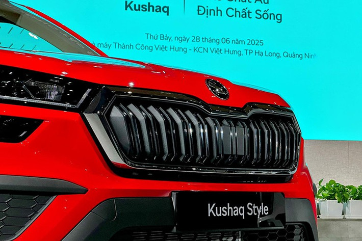 Mẫu xe đầu tiên xuất xưởng tại đây là Skoda Kushaq, mẫu SUV cỡ B được phát triển theo tiêu chuẩn toàn cầu, dành riêng cho thị trường châu Á. Kushaq cũng là mẫu xe đầu tiên trong phân khúc SUV-B chuẩn châu Âu tại Việt Nam có giá khởi điểm từ 599 triệu đồng.