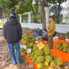 Sầu riêng giá rẻ tràn vỉa hè TP.HCM, người mua vẫn thấp thỏm lo chất lượng