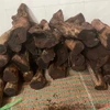 Loại gỗ "vô danh" 3 triệu đồng/kg ở Quảng Trị đang gây sốt có gì đặc biệt?