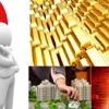 Năm 2026 bỏ tiền vào chứng khoán, đất hay mua vàng để sinh lời cao?