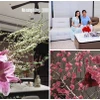 Bên trong biệt thự ngập sắc hoa đón Tết của Đoàn Văn Hậu