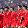 Bóng đá Việt Nam 2025: Thành công nổi bật của các đội tuyển quốc gia