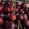 Vì sao cherry Chile 'được lòng' người tiêu dùng Việt Nam thời gian qua?