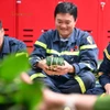 Lính cứu hỏa Thủ đô gói bánh chưng, trực chiến đảm bảo bình yên ngày Tết