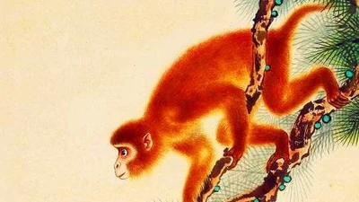 Đại vận tháng 6/2025, 3 tuổi cực may... tình tiền viên mãn