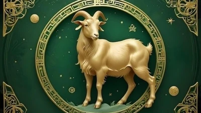 Phượng Hoàng tái sinh, 3 con giáp càng già càng giàu có