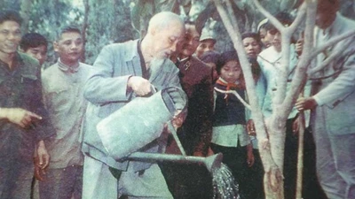 Chuyện kể về cây đa Bác Hồ trồng cách đây 60 năm