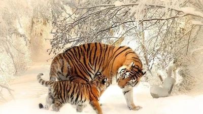 21 ngày tới, 3 tuổi bứt phá sự nghiệp, lương thưởng tăng vọt