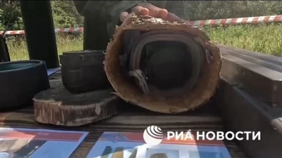 Ukraine ngụy trang vũ khí bí ẩn bên trong “thân cây”