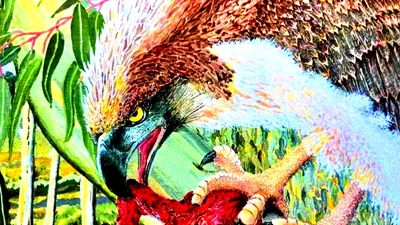 Lộ diện loài đại bàng tiền sử khổng lồ, khoa học chấn động