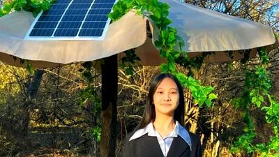 Phát minh bẫy chạy bằng AI tiêu diệt côn trùng