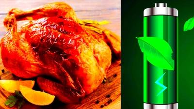 Hô biến mỡ gà thành thiết bị lưu trữ năng lượng 