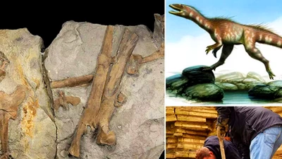 Tiết lộ điều chưa từng biết về “khủng long xứ Wales'
