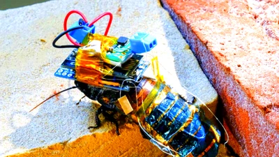 Gián có thể tiến hóa nhờ vào công nghệ robot sinh học