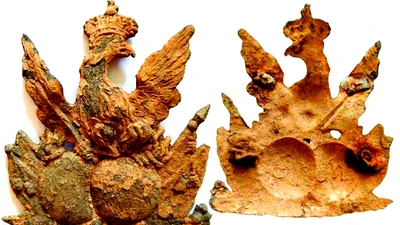 "Chim thần" 300 tuổi lộ diện, giới khảo cổ tranh cãi nảy lửa