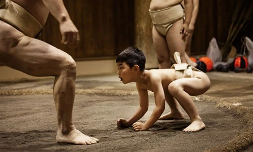 Xem “võ sĩ sumo nhí” Nhật Bản khổ luyện
