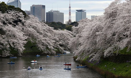 Ngắm cảnh đẹp thiên nhiên mê đắm trên thế giới
