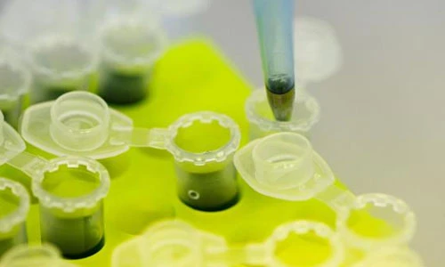 Soi quy trình sản xuất vắc xin chống Ebola