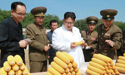 Chùm ảnh lãnh đạo Kim Jong Un thị sát sau vụ thử hạt nhân