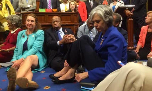 Ảnh: Nghị sỹ Mỹ biểu tình ngồi đòi kiểm soát súng đạn