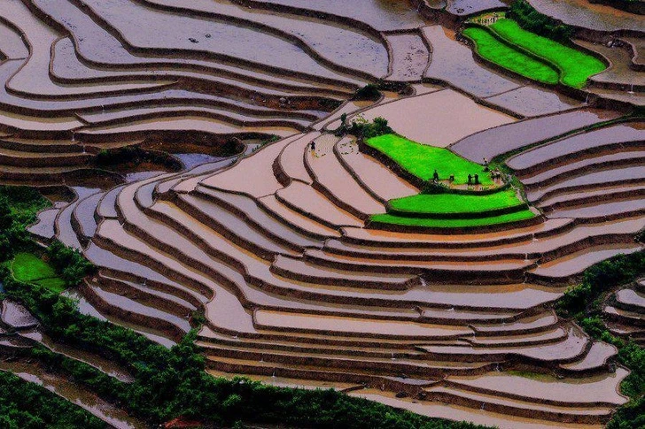 Ruộng bậc thang Việt Nam lot top cảnh đẹp tự nhiên thế giới