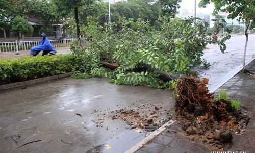 Chùm ảnh cơn bão Nida đổ bộ Trung Quốc