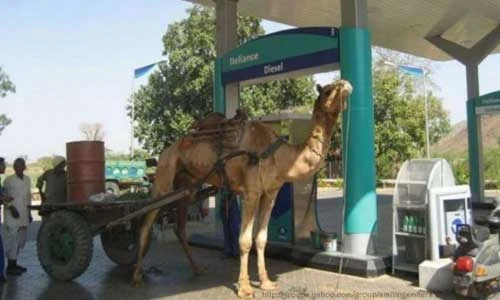 10 hình ảnh gây cười chỉ có ở Ấn Độ