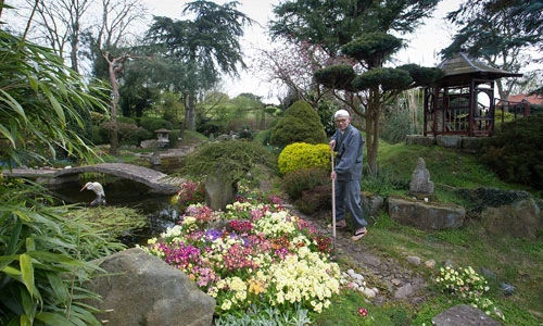 Độc đáo bãi cỏ hoang thành vườn hoa rực rỡ ở Anh