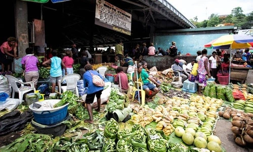 Ghé thăm khu chợ sầm uất ở Solomon