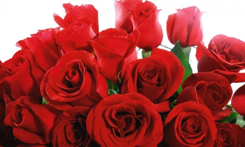 10 điều thú vị về “Ngày lễ tình nhân” Valentine 