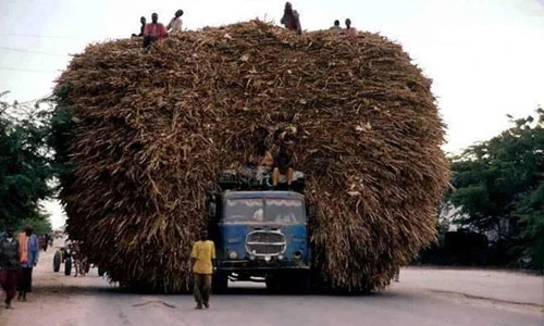 Muôn kiểu chở hàng siêu cồng kềnh trên thế giới