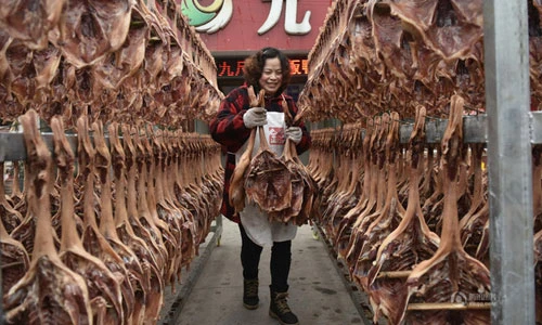 Dân Trung Quốc hối hả đón Tết Nguyên Đán 2016 