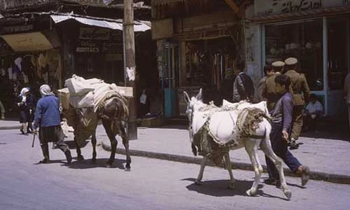15 ảnh hiếm về cuộc sống yên bình ở Damascus năm 1965