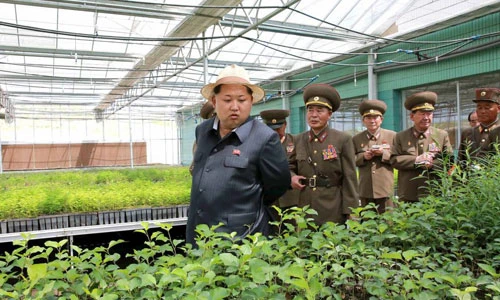 Hình ảnh lãnh đạo Triều Tiên thị sát nhà máy xí nghiệp