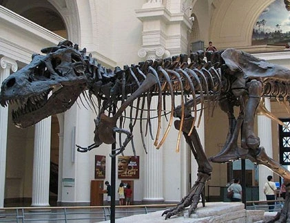 8 đồ vật đấu giá kỳ lạ nhất thế giới